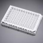 Falcon™ 96-Well, Cell Culture-Treated, Flat-Bottom Microplate