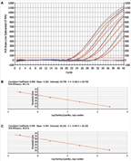 Thermo Scientific™ ABsolute™ qPCR Mixes