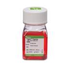 Gibco™ Enzyme (1X) TrypLE™ Express, rouge de phénol