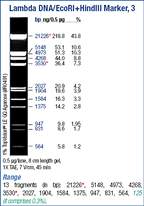 Thermo Scientific™ Marcador Lambda DNA/EcoRI plus HindIII