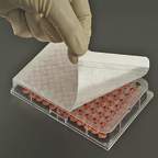 Axygen™ Microplate Sealing Film and Tapes