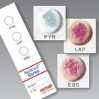 Thermo Scientific™ Remel™ BactiCard™ Strep <img src=