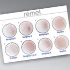 Thermo Scientific™ Wellcolex™ Color Salmonella Rapid Latex Agglutination Test Kit