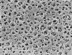 Sartorius Cellulose Acetate Membrane Filters