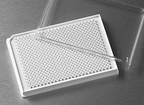 Corning™ 384-Well, Cell Culture-Treated, Flat-Bottom, Low Volume Microplate