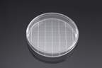 Corning™ Falcon™ Tissue Culture Dish with Grid <img src=