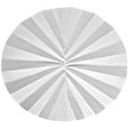 Cytiva Whatman™ Qualitative Filter Paper: Grade 597½ Pleated Circles