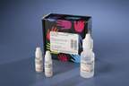 Thermo Scientific™ Ultra-Sensitive ABC Peroxidase Rabbit IgG Staining Kit