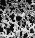 Merck Membranes d’ester de cellulose mixte MF-Millipore™ : Taille des pores : 0,65 μm
