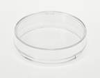 Thermo Scientific™ Nunc™ Cell Culture/Petri Dishes, 21.5cm<sup>2</sup>, Nunclon Delta treated, lid