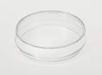 Thermo Scientific™ Nunc™ Cell Culture/Petri Dishes, 21.5cm<sup>2</sup>, Nunclon Delta treated, lid, vent, 2x 2mm grid