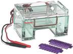 Thermo Scientific™ Owl™ EasyCast™ B1A Mini Gel and A2-OK Multi Gel System Replacement Parts