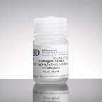 Corning™ Collagen I, High Concentration, Rat Tail