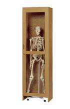 Diversified Spaces™ Mobile Skeleton Cabinet <img src=