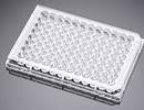 Corning™ BioCoat™ 96-Well, Collagen Type I-Treated, Flat-Bottom Microplate
