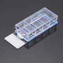 Corning™ BioCoat™ Poly-D-Lysine Glass Multiwell Culture Slide