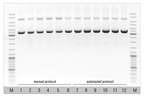 Thermo Scientific™ MagJET Plasmid DNA Kit