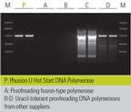 Thermo Scientific™ Phusion U Hot Start DNA Polymerase