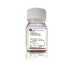 Gibco™ Penicilina-estreptomicina (10.000 U/ml)