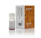 Invitrogen™ Protéine G pour immunoprécipitation Dynabeads™