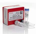 Invitrogen™ Platinum™ <i>Taq</i> DNA-Polymerase High Fidelity