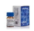 Gibco™ Activateur T de souris Dynabeads™ CD3/CD28 pour l’expansion et l’activation des cellules T