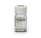 Gibco™ Enzyme (1X) TrypLE™ Express, sans rouge de phénol