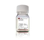 Gibco™ Antibiotic-Antimycotic (100X) <img src=