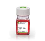 Gibco™ Trypsin-EDTA (0,25%), phenolrot