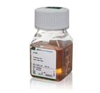 Gibco™ Fetal Bovine Serum, certified, heat inactivated, United States