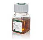 Gibco™ Fetal Bovine Serum, qualified, heat inactivated, USDA-approved regions <img src=