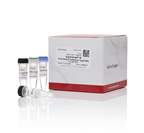 Invitrogen™ SuperScript™ III First-Strand Synthesis SuperMix for qRT-PCR