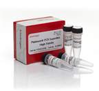 Invitrogen™ Platinum™ PCR SuperMix High Fidelity