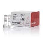 Invitrogen™ SuperScript™ III One-Step RT-PCR System with Platinum™ <i>Taq</i> DNA Polymerase
