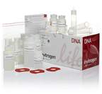 Invitrogen™ PureLink™ HiPure Plasmid Maxiprep Kit