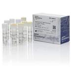Applied Biosystems™ AmpliTaq Gold™ DNA Polymerase with Buffer II and MgCl<sub>2</sub>