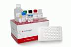 Invitrogen™ Amyloid beta 42 Human ELISA Kit