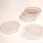 Corning™ 100 x 15mm Polystyrene Petri Dishes