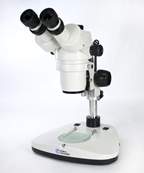 Fisherbrand™ 425 Series Zoom Stereoscopic Microscopes