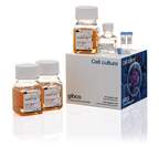 Gibco™ ExpiFectamine™ CHO Transfection Kit <img src=