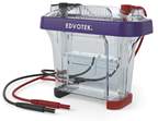 Edvotek™ Edvotek™ MV10 Protein Electrophoresis Apparatus