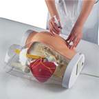 3B Scientific™ Two-in-One i.m. Injection Model of Buttock