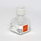 Corning™ Insulin-Transferrin-Selenium (ITS)
