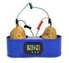 Eisco™ Premium Potato Clock <img src=
