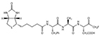 Thermo Scientific™ Biotinyl-Phe-Ala-Asp fluoromethyl ketone