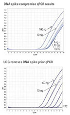 Thermo Scientific™ Luminaris Color Probe qPCR Master Mix, high ROX