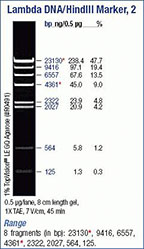 Thermo Scientific™ Lambda DNA/HindIII Marker