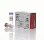 Invitrogen™ Réactif Lipofectamine™ LTX avec réactif PLUS™
