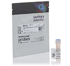 Molecular Probes™ Alexa Fluor™ 488 NHS Ester (Succinimidyl Ester)