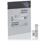 Molecular Probes™ Alexa Fluor™ 594 NHS Ester (Succinimidyl Ester)
